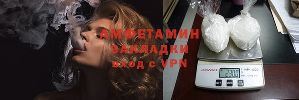стаф Алзамай